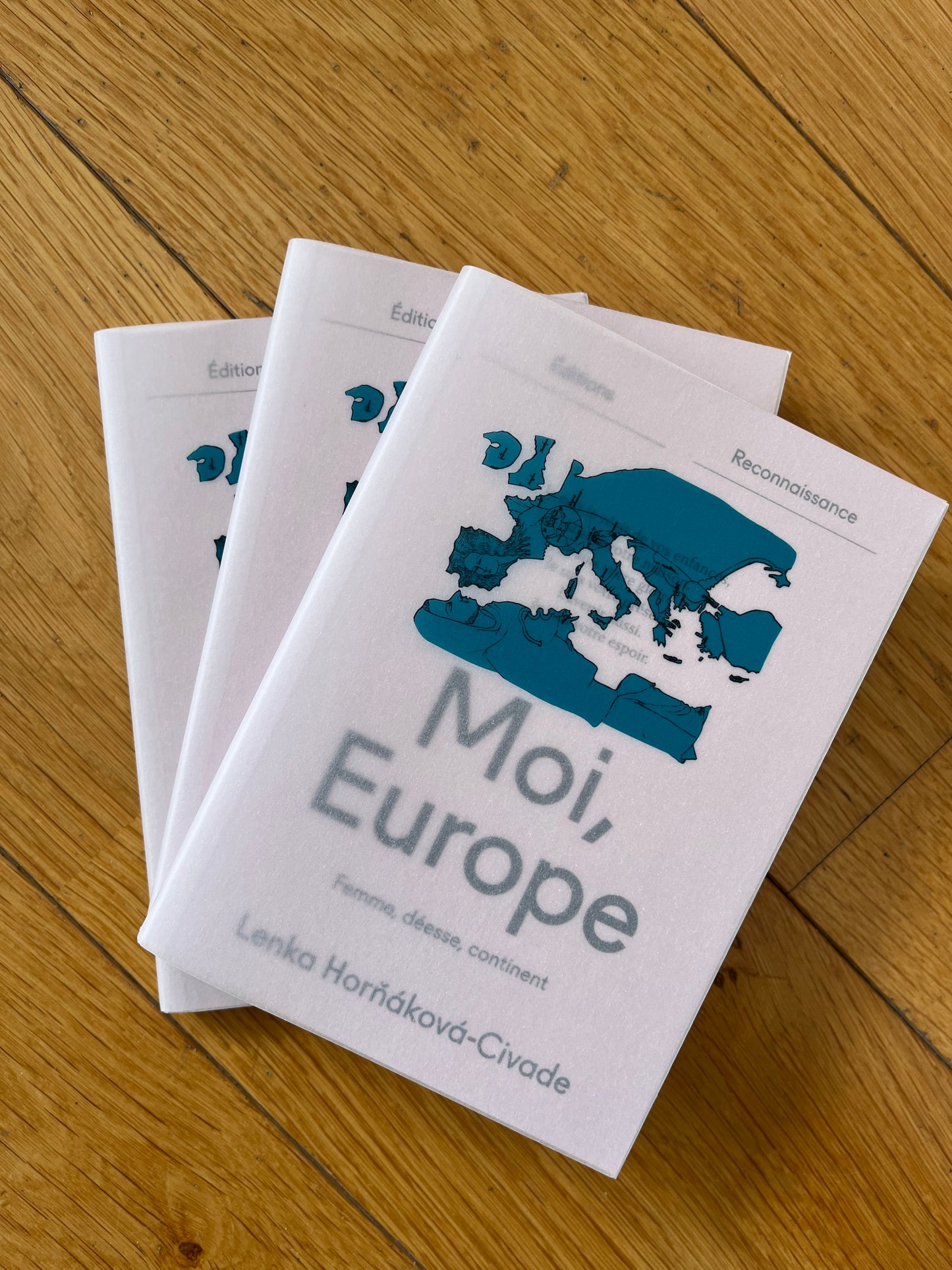 Moi, Europe, Lenka Hornakova-Civade